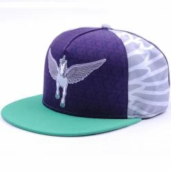 The Headspace Accessories Unisus SNAPBACK Hat