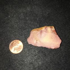 Crystal Petrified Wood (Raw)